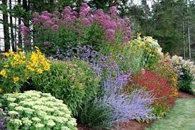 Simply be aware that rising wishes can suddenly add sq. Perennial Garden Zone 5 Flower Beds Loving Perennials Here Are Some Of My Ramblings For Co Perennial Garden Design Garden Flowers Perennials Perennial Garden