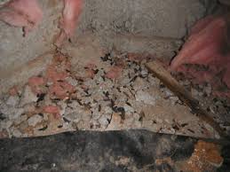 Salem pest control senseless spiders. Crawlspace Pest Extermination Crawlspace Pest Removal Portland Or Vancouver Wa
