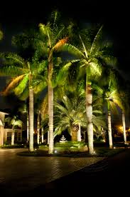 Low Voltage Lighting Landscape Led Lighting Tru Landscape Services