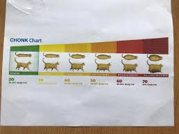 Chonk Chart Doggohate