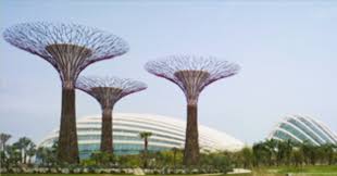 The authorities previously announced that the district will house technology firms, create about 28. Woh Hup
