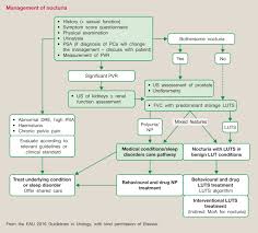 Image result for Nocturia