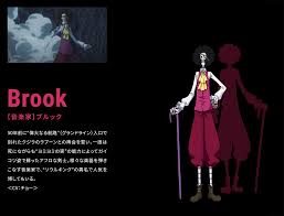 one piece stampede brook