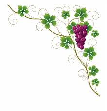 Common Grape Vine Grape Leaves Wine Clip Art Design Border