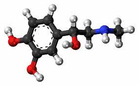 Science and nature trivia quiz. Science And Nature Quizzes Readymadepubquiz Com