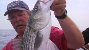 Chef Cory Schreiber from Wildwood Restaurant in Portland, Oregon