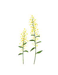 Items Similar To Goldenrod Original Watercolor Painting 5 X 7 On Etsy Watercolor Paintings Original Watercolor Painting Watercolor Flowers