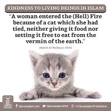 Pin On Hadith Of The Day