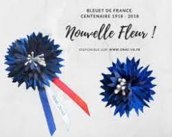 Nous avons le plaisir de vous présenter notre nouvel ambassadeur : Portons Un Bleuet De France Aidons Ceux Qui Restent La Saint Cyrienne Ils S Instruisent Pour Vaincre