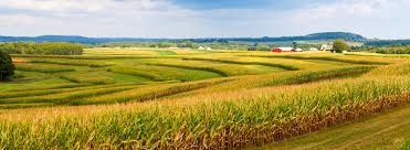 Maybe you would like to learn more about one of these? Harmonising Solutions Regenerative Agriculture Sai Platform