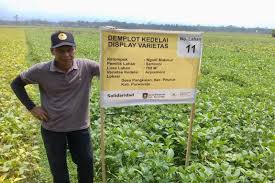 Latihan industri memberi pelajar peluang pembelajaran di dunia pekerjaan untuk menerima pengalaman praktikal supaya dapat mempertingkatkan kebolehpasarannya (marketability). Tempat Latihan Industri Untuk Pelajar Pertanian