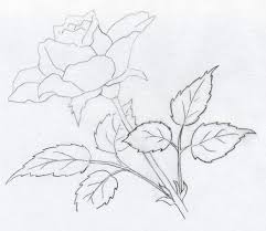 Pencil Drawings Pencil Drawings Whom Those Who Never Use A Pencil To Draw Since We Roses Drawing Drawings Pencil Drawings Of Flowers