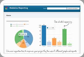 Redmine Reporting Plugin Smarter Project Insights Alphanodes