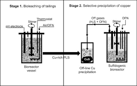 Apart from the portable detectors we have today, there are also more prominent brands for security and other related purposes. New Approaches For Extracting And Recovering Metals From Mine Tailings Sciencedirect