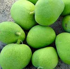 CHUXAY GARDEN Green Mango Fruit Seed 1 Seeds Rare Color Mango Edible Sweet  Fruit an Exciting New Addition : Patio, Lawn & Garden