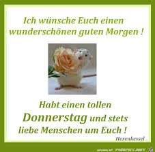 Wähle einfach das gewünschte bild aus der kategorie lustig frau geburtstagssprüche geburtstagswünsche und more geburtstagswunsche lustig tiere images. Donnerstag Tiere Lustig Bilder Und Spruche Fur Whatsapp Und Facebook Kostenlos