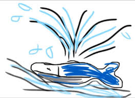 drawing with flippad app رسم حوت ببرنامج فلب باد youtube okay gesture