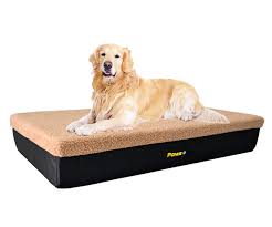 This bed comes in five colors (toasted coconut, silver, brown corduroy, chocolate, silver jacquard). Large Brown Premium Orthopedic Memory Foam Dog Bed