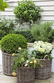 Set Of 2 Water Hyacinth Storage Boxes From John Lewis Small Gardens Small Garden Modern Garden
