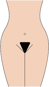 Datei Pubic Hairstyle Bikini Svg Wikipedia