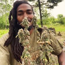 The Blackalachian added a new photo.