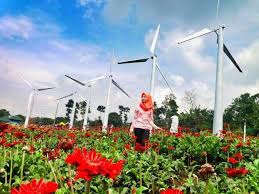 Lokasi Dan Harga Tiket Masuk Taman Bunga Celosia Bandungan Semarang Spot Wisata Ngehits Ala Liburan Di Negeri Dongeng Http Www Dakatou Bunga Taman Liburan