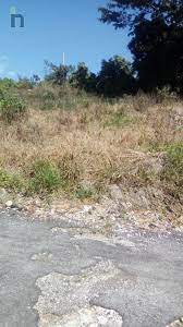 Check spelling or type a new query. Jamaican Property Residential Land For Sale In Mandeville Manchester Jamaica 210 Nohuts