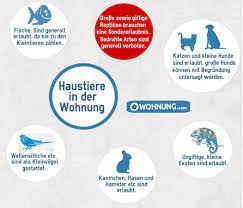 Folgende punkte solltest du vorab ins. Wohnung Regelungen Zur Haltung Von Haustieren Wohnung Com Ratgeber