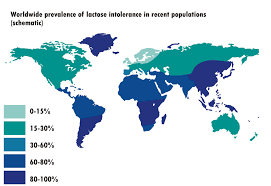 You could have another underlying condition in addition to. Laktoseintoleranz Wikipedia