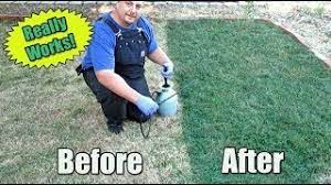 Restore Your Lawn Using Green Grass Paint Youtube