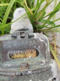 Image result for Hermannia quartiniana