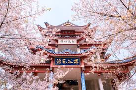 天海旅行社-出團王網站-國外行程介紹【花開江南浪漫烏鎮住一晚】絕美拈花灣春日陽光下午茶魔都上海5日(吉祥航空)