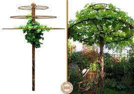 Gardening Ideas The Owner Builder Network Garden Projects Garden Vines Plants