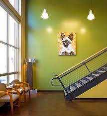 Building Your Veterinary Practice Color Palette Hospital Design Hospital Design Hospital Interior Design Veterinary Hospital