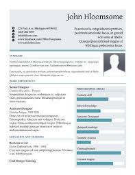 Two Tone Colour Infographic Resume Template Infographic Resume Resume Templates