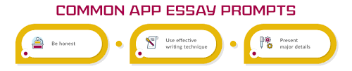 Reflect on a time when you questioned or challenged a belief or idea. Useful Common App Essay Writing Tips Essaysleader