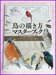 シマエナガ 骨格