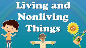 Living And Nonliving Things Aumsum Kids Science Education Children Youtube