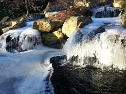 Galena lawn care is offering landscaping services for picture perfect green lawn of your residential and commercial area in galena, sunbury, & all frequently asked questions about columbus lawn irrigation companies. Premier Lawn Care Columbus Ga Edukasi News