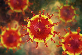 Resultado de imagen de coronavirus, designado como 2019-nCoV