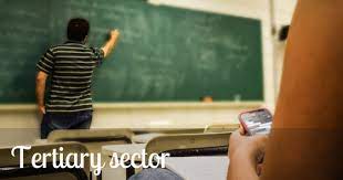 Other tertiary economic activities in maldives include, shipping, teaching, wholesaling and retailing. Tertiary Economic Activity Definition Background Examples Economic Activity