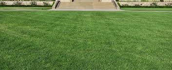 Find the best lawn service near you. Commercial Lawn Care Services Groundtechs Landscape Care