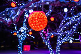 Covid 19 Update For Winter Light Festival Nikka Yuko Japanese Garden In Lethbridge Alberta