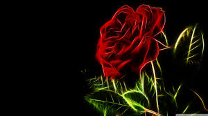 Animated desktop backgrounds windows download. Beautiful Live Wallpaper Gif 1600x900 Wallpaper Teahub Io