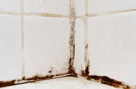 Wenn sie die beiden stoffe zwischen den fingern reiben, bildet sich bei silikon ein hartnäckig haftender schmierfilm, während sich das acryl zu kleinen röllchen und klümpchen zerreiben lässt und problemlos wieder von der haut löst. Die Kunst Der Fuge Silikon Und Acryl In Kuche Und Bad Moebeltipps Ch