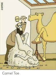 This was to be contrasted with the impossibility of a rich man to enter into the kingdom of god if he puts his riches and possessions ahead of jehovah god. Erscheid Camel Toe Camel Meme On Me Me