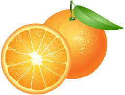 Oranges Png Clip Art High Quality Png Clipart Image In Cattegory Fruits Png Clipart From Clipartpng Com Fruit Clipart Clip Art Orange