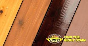 Australian Timber Oil On Cedar Mgstudio Co