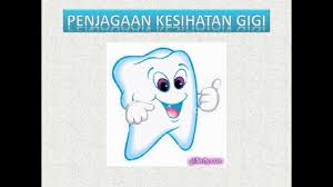 Gigi seri, berjumlah delapan yang terletak di depan mulut dan berfungsi untuk menggigit makanan. Sains Tahun 3 Jenis Gigi Dan Fungsinya Youtube