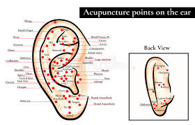 Reflex Zones On The Ear Acupuncture Points On The Ear Map